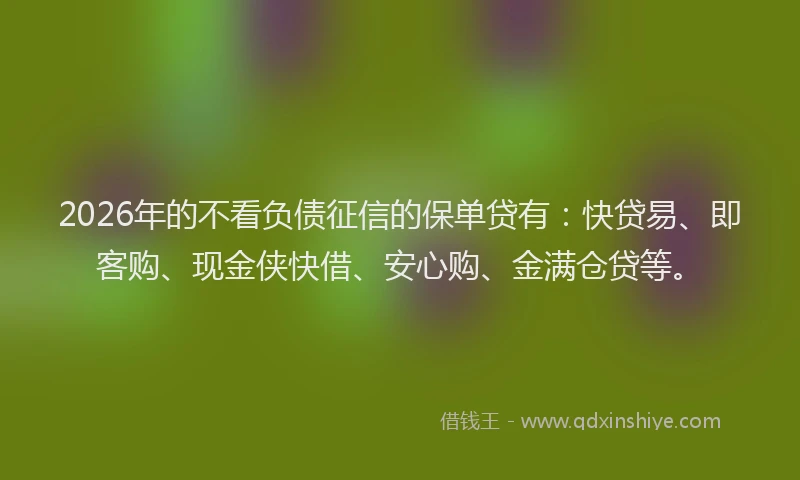 2026年的不看负债征信的保单贷有：快贷易、即客购、现金侠快借、安心购、金满仓贷等。