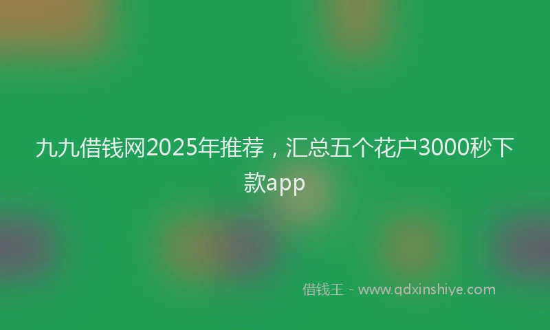 九九借钱网2025年推荐,汇总五个花户3000秒下款app