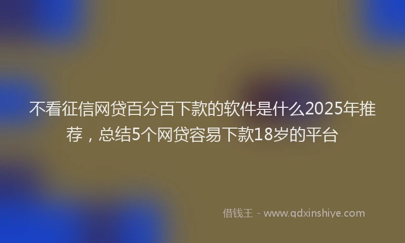 不看征信网贷百分百下款的软件是什么2025年推荐，总结5个网贷容易下款18岁的平台