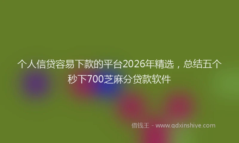 个人信贷容易下款的平台2026年精选，总结五个秒下700芝麻分贷款软件