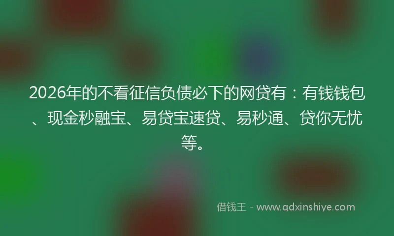 2026年的不看征信负债必下的网贷有：有钱钱包、现金秒融宝、易贷宝速贷、易秒通、贷你无忧等。