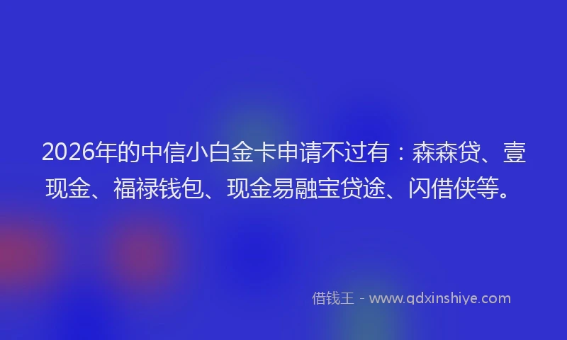 2026年的中信小白金卡申请不过有：森森贷、壹现金、福禄钱包、现金易融宝贷途、闪借侠等。