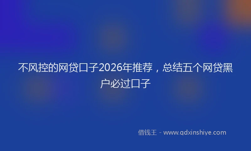 不风控的网贷口子2026年推荐，总结五个网贷黑户必过口子