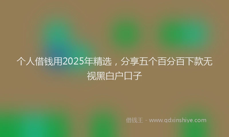 个人借钱用2025年精选，分享五个百分百下款无视黑白户口子