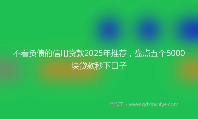 不看负债的信用贷款2025年推荐，盘点五个5000块贷款秒下口子