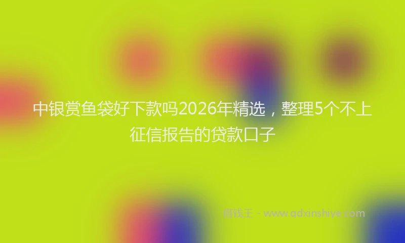 中银赏鱼袋好下款吗2026年精选，整理5个不上征信报告的贷款口子