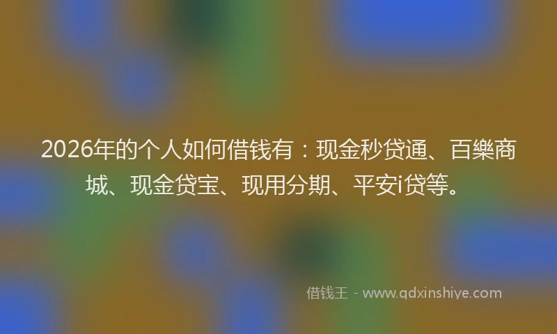 2026年的个人如何借钱有：现金秒贷通、百樂商城、现金贷宝、现用分期、平安i贷等。