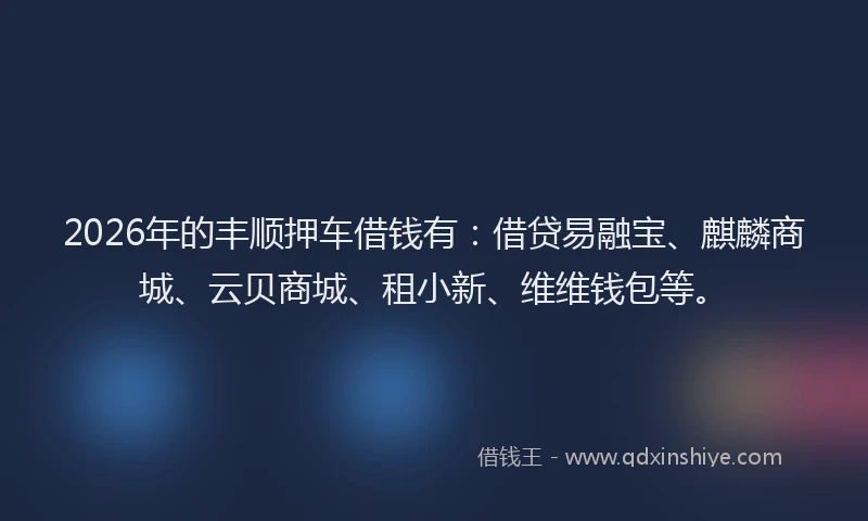2026年的丰顺押车借钱有：借贷易融宝、麒麟商城、云贝商城、租小新、维维钱包等。