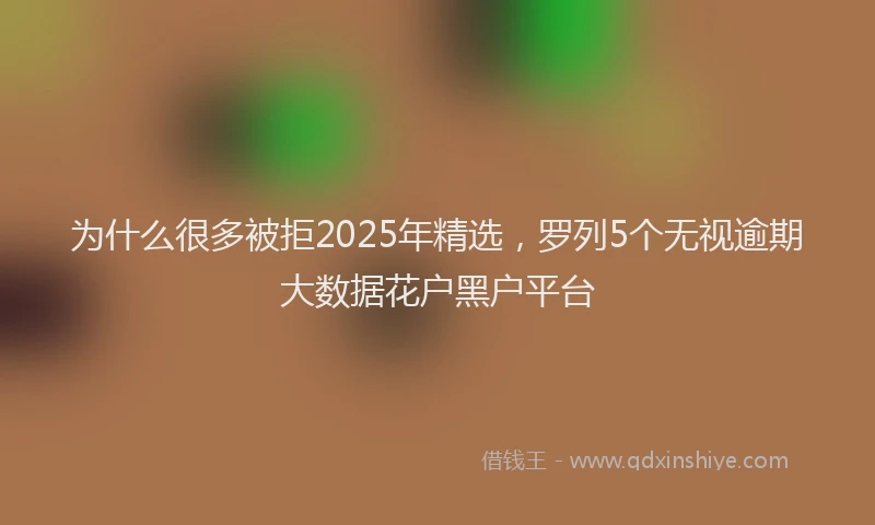 为什么很多被拒2025年精选，罗列5个无视逾期大数据花户黑户平台