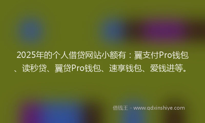2025年的个人借贷网站小额有：翼支付Pro钱包、读秒贷、翼贷Pro钱包、速享钱包、爱钱进等。