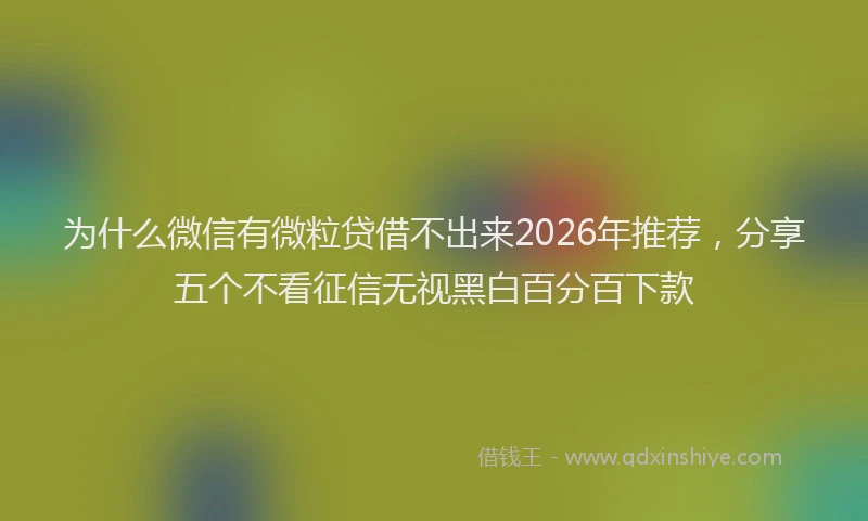 为什么微信有微粒贷借不出来2026年推荐，分享五个不看征信无视黑白百分百下款