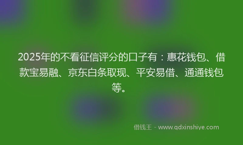 2025年的不看征信评分的口子有：惠花钱包、借款宝易融、京东白条取现、平安易借、通通钱包等。