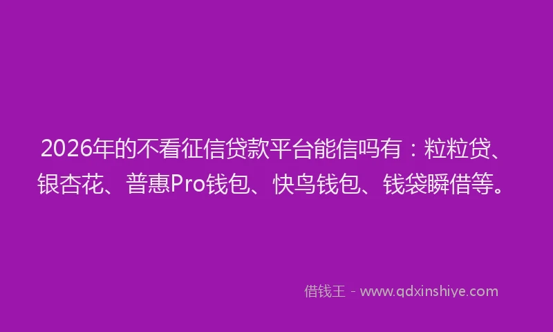 2026年的不看征信贷款平台能信吗有:粒粒贷、银杏花、普惠Pro钱包、快鸟钱包、钱袋瞬借等。