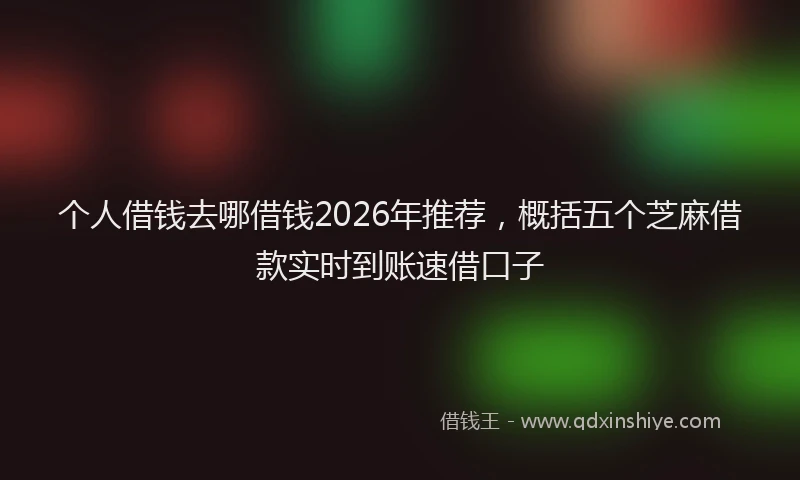 个人借钱去哪借钱2026年推荐，概括五个芝麻借款实时到账速借口子
