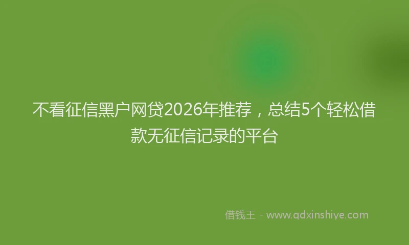 不看征信黑户网贷2026年推荐，总结5个轻松借款无征信记录的平台