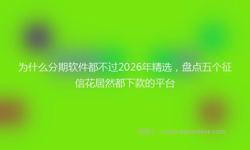 为什么分期软件都不过2026年精选，盘点五个征信花居然都下款的平台