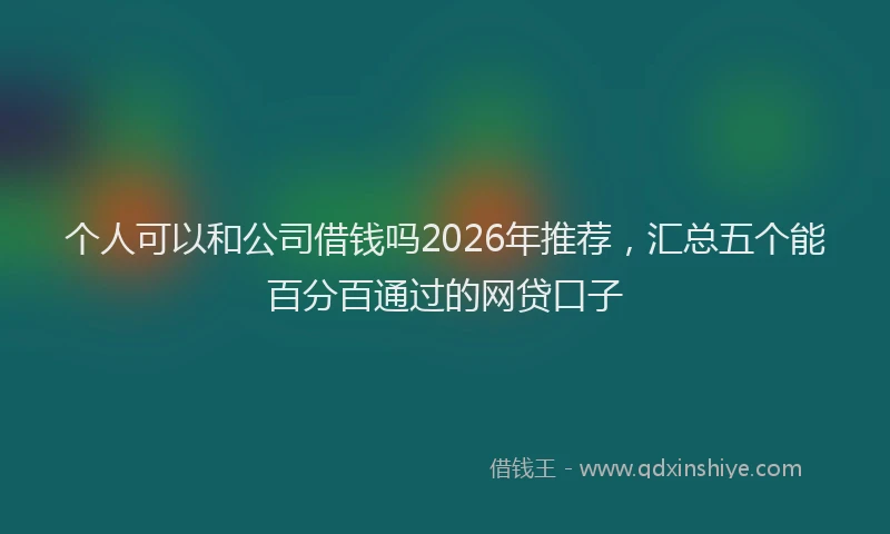 个人可以和公司借钱吗2026年推荐，汇总五个能百分百通过的网贷口子