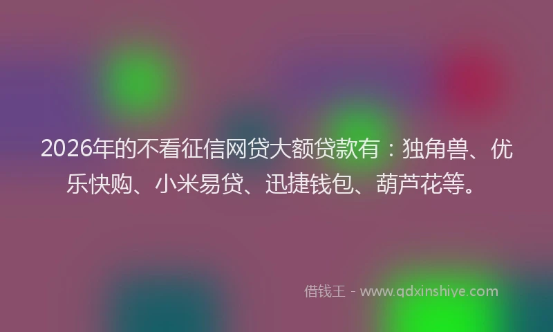 2026年的不看征信网贷大额贷款有：独角兽、优乐快购、小米易贷、迅捷钱包、葫芦花等。