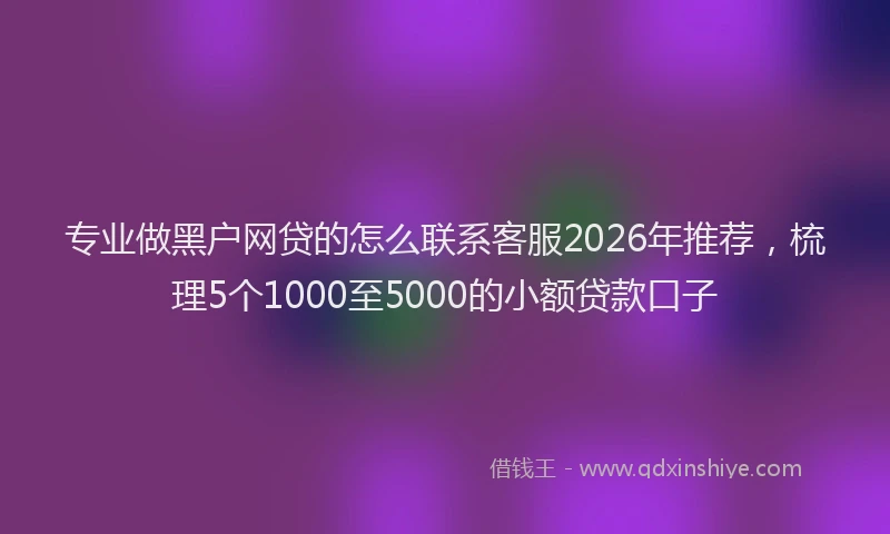 专业做黑户网贷的怎么联系客服2026年推荐，梳理5个1000至5000的小额贷款口子