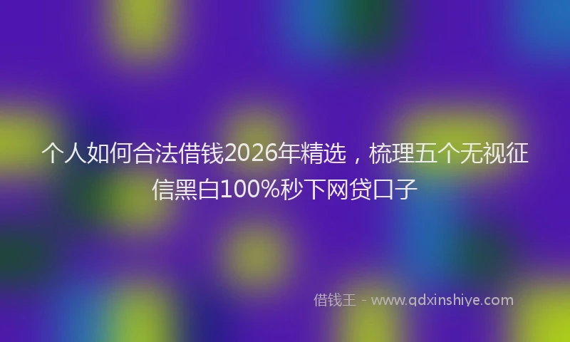 个人如何合法借钱2026年精选，梳理五个无视征信黑白100%秒下网贷口子