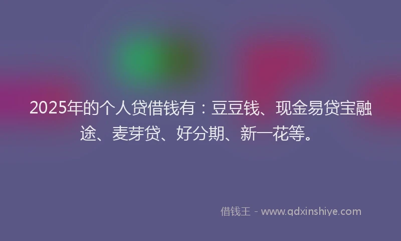2025年的个人贷借钱有：豆豆钱、现金易贷宝融途、麦芽贷、好分期、新一花等。