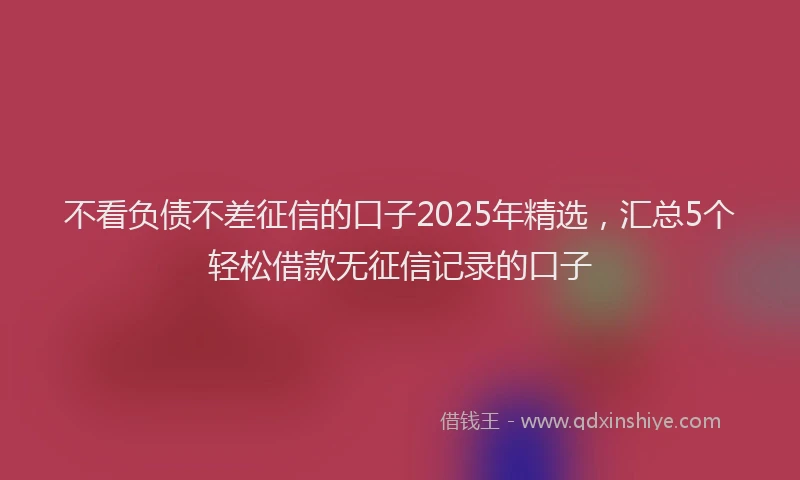 不看负债不差征信的口子2025年精选，汇总5个轻松借款无征信记录的口子