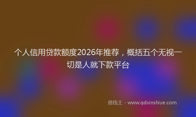 个人信用贷款额度2026年推荐，概括五个无视一切是人就下款平台