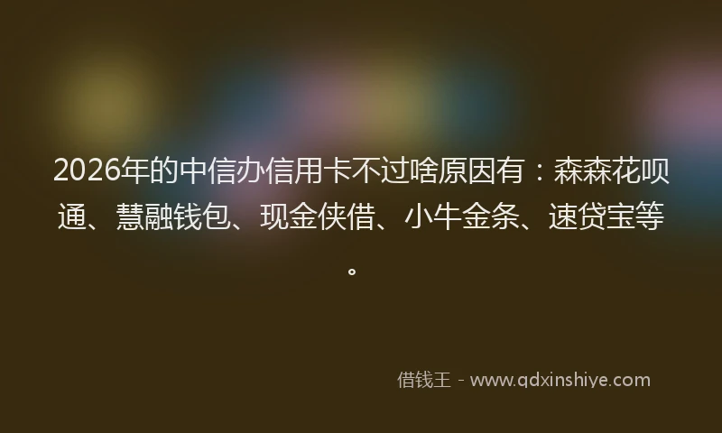 2026年的中信办信用卡不过啥原因有:森森花呗通、慧融钱包、现金侠借、小牛金条、速贷宝等。