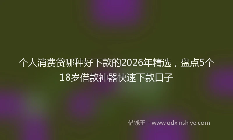 个人消费贷哪种好下款的2026年精选，盘点5个18岁借款神器快速下款口子