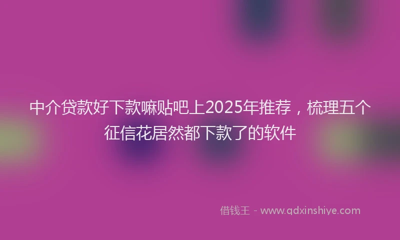 中介贷款好下款嘛贴吧上2025年推荐，梳理五个征信花居然都下款了的软件