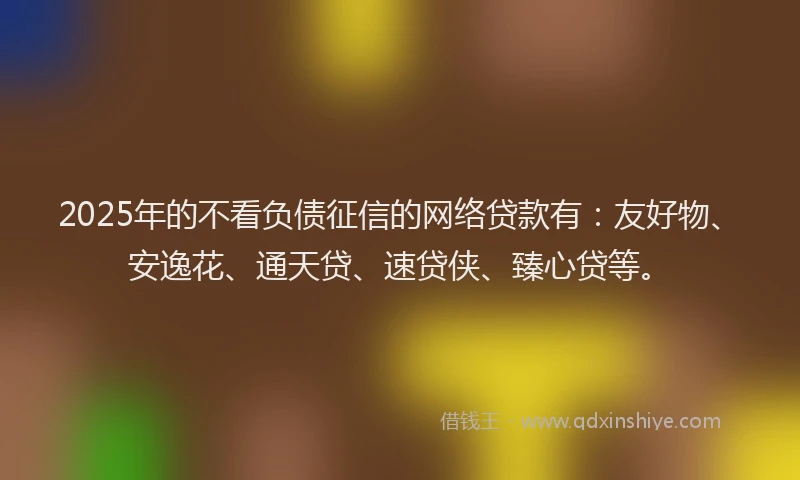 2025年的不看负债征信的网络贷款有：友好物、安逸花、通天贷、速贷侠、臻心贷等。