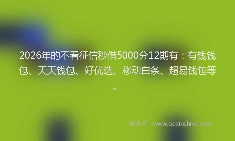 2026年的不看征信秒借5000分12期有：有钱钱包、天天钱包、好优选、移动白条、超易钱包等。