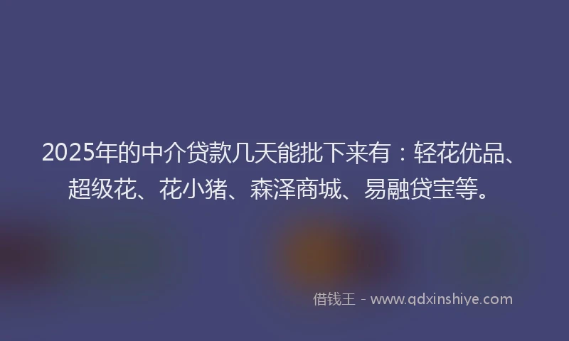 2025年的中介贷款几天能批下来有：轻花优品、超级花、花小猪、森泽商城、易融贷宝等。
