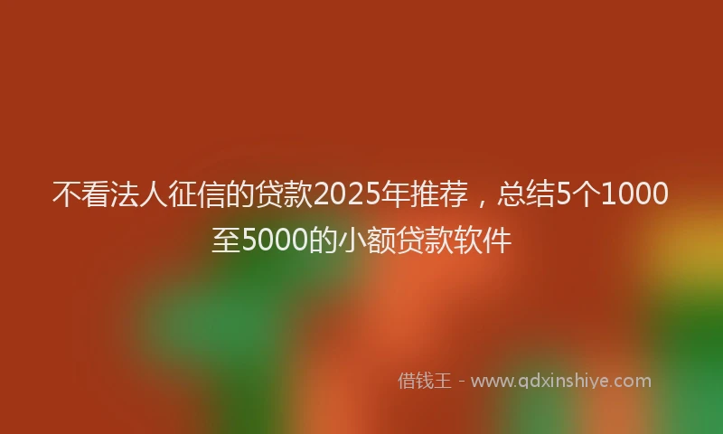 不看法人征信的贷款2025年推荐，总结5个1000至5000的小额贷款软件
