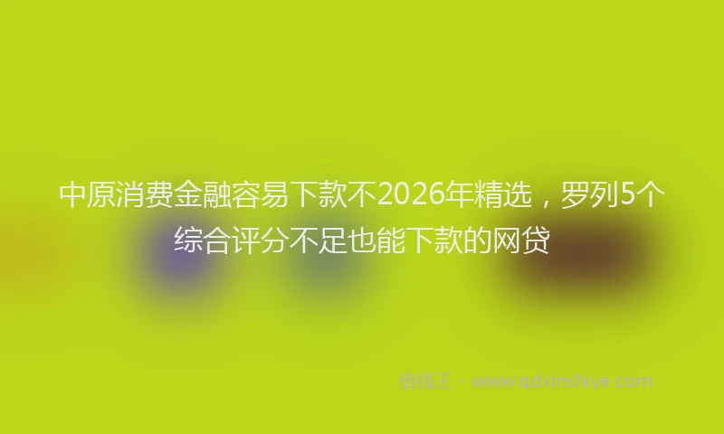 中原消费金融容易下款不2026年精选，罗列5个综合评分不足也能下款的网贷