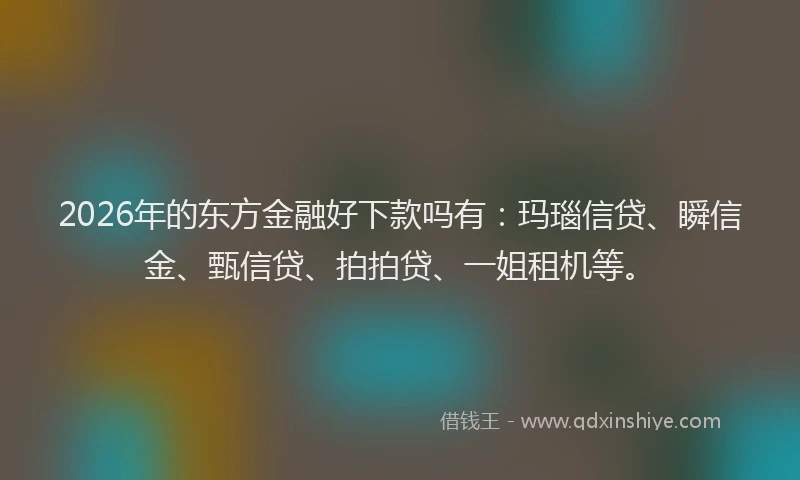 2026年的东方金融好下款吗有:玛瑙信贷、瞬信金、甄信贷、拍拍贷、一姐租机等。