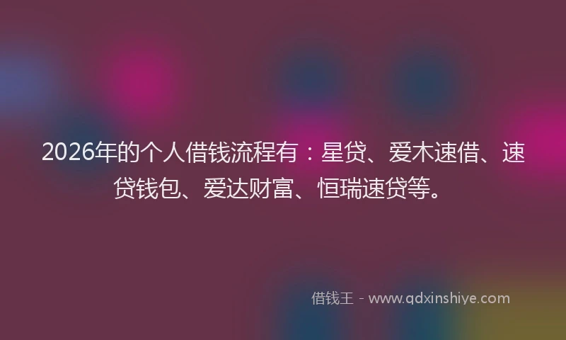 2026年的个人借钱流程有：星贷、爱木速借、速贷钱包、爱达财富、恒瑞速贷等。