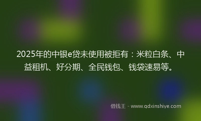 2025年的中银e贷未使用被拒有：米粒白条、中益租机、好分期、全民钱包、钱袋速易等。