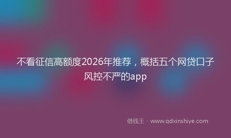 不看征信高额度2026年推荐，概括五个网贷口子风控不严的app