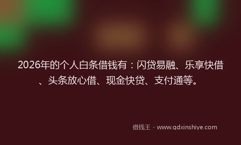 2026年的个人白条借钱有：闪贷易融、乐享快借、头条放心借、现金快贷、支付通等。