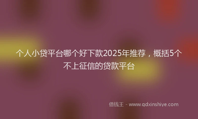 个人小贷平台哪个好下款2025年推荐，概括5个不上征信的贷款平台