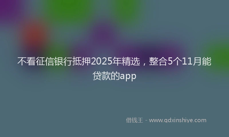 不看征信银行抵押2025年精选，整合5个11月能贷款的app
