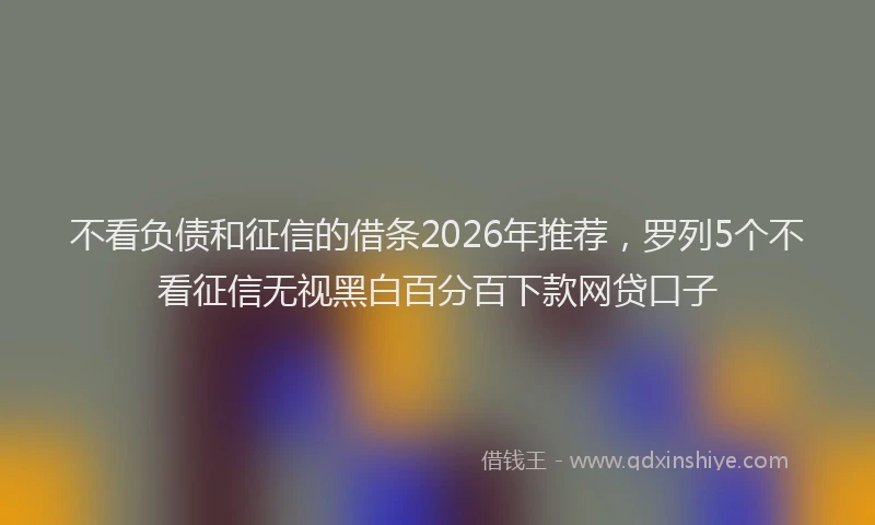 不看负债和征信的借条2026年推荐，罗列5个不看征信无视黑白百分百下款网贷口子