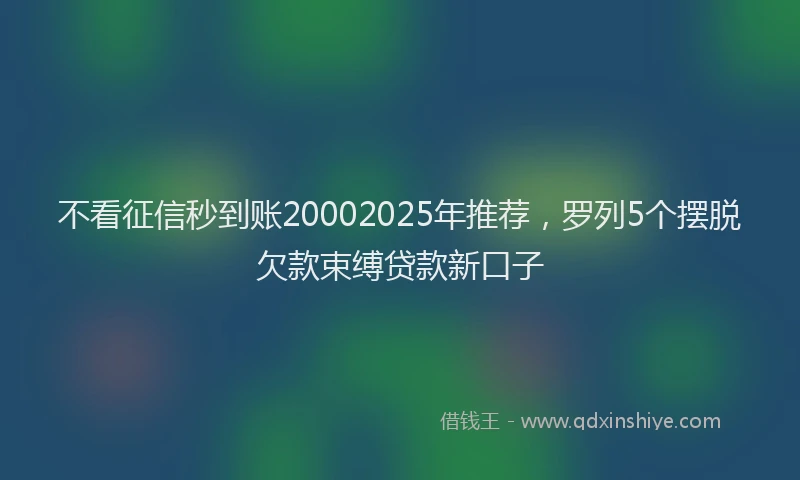 不看征信秒到账20002025年推荐，罗列5个摆脱欠款束缚贷款新口子
