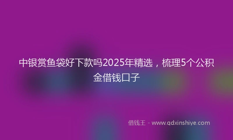 中银赏鱼袋好下款吗2025年精选，梳理5个公积金借钱口子