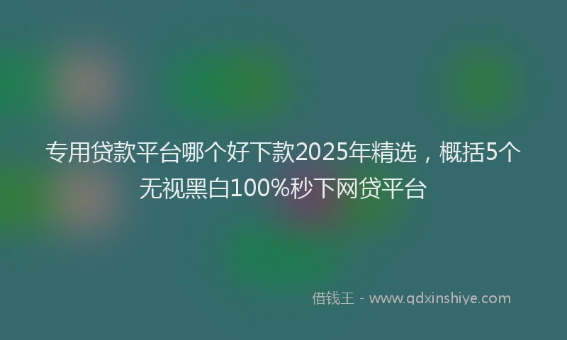 专用贷款平台哪个好下款2025年精选,概括5个无视黑白100%秒下网贷平台
