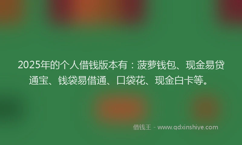 2025年的个人借钱版本有：菠萝钱包、现金易贷通宝、钱袋易借通、口袋花、现金白卡等。