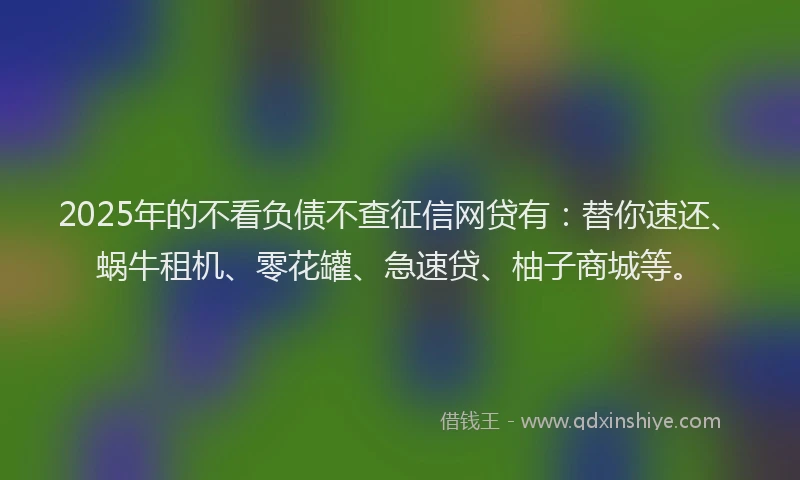 2025年的不看负债不查征信网贷有：替你速还、蜗牛租机、零花罐、急速贷、柚子商城等。