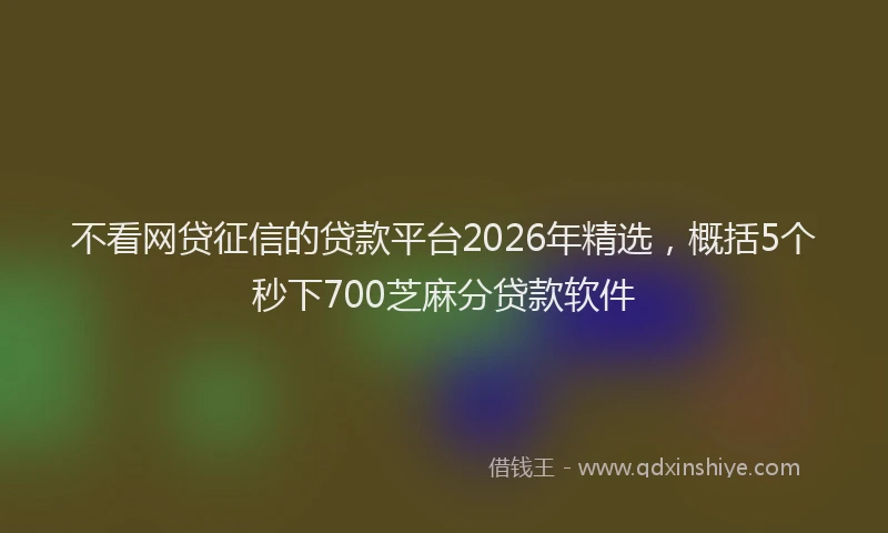 不看网贷征信的贷款平台2026年精选，概括5个秒下700芝麻分贷款软件