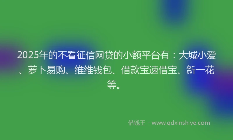 2025年的不看征信网贷的小额平台有：大城小爱、萝卜易购、维维钱包、借款宝速借宝、新一花等。